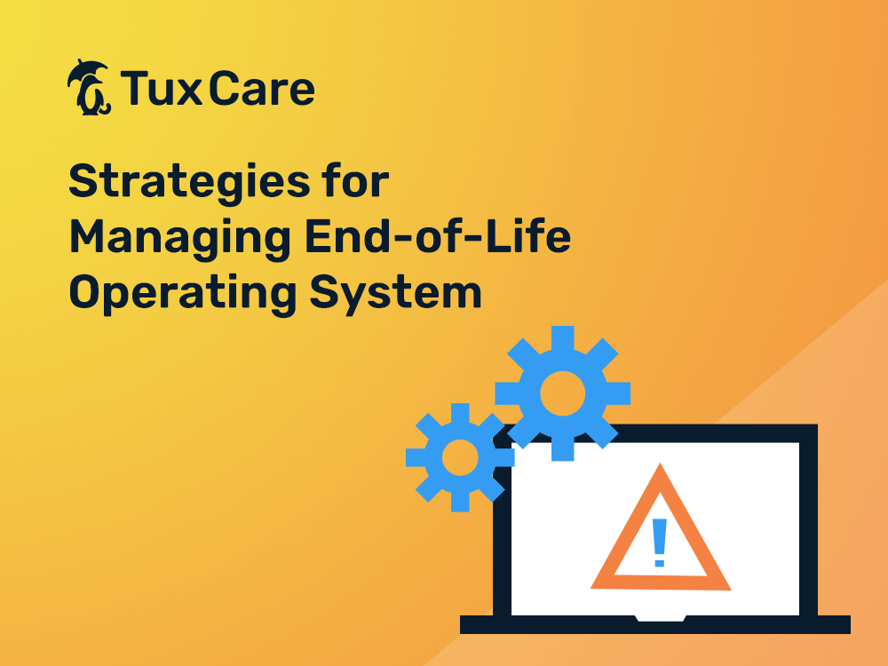 Strategies for Managing End-of-Life Operating System