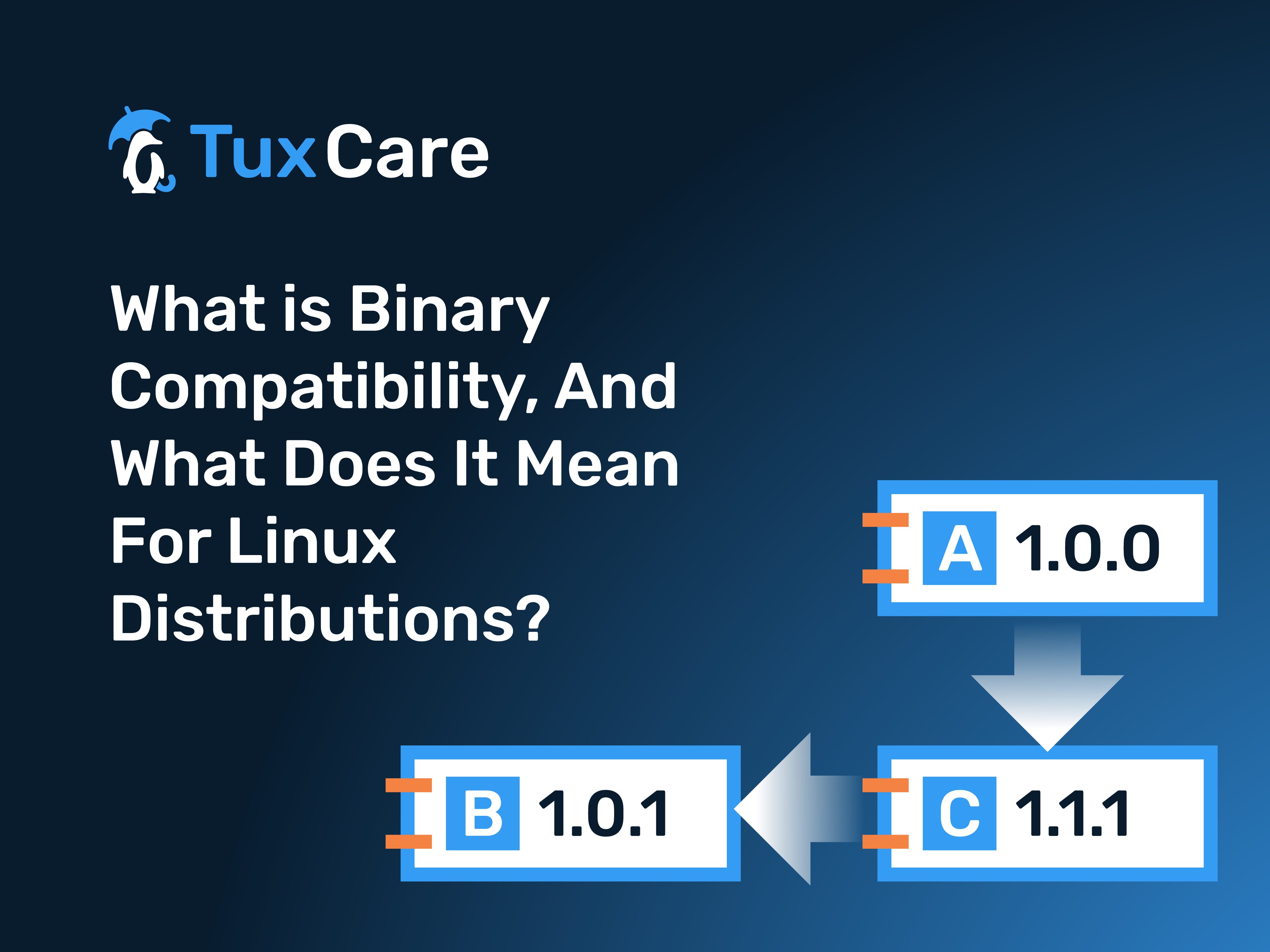 What is binary compatibility, and what does it mean for Linux distributions?