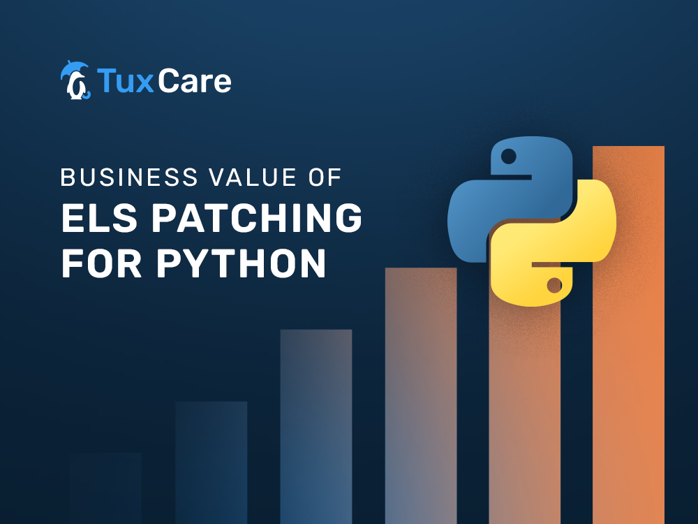 Geschäftswert von ELS Patching für Python