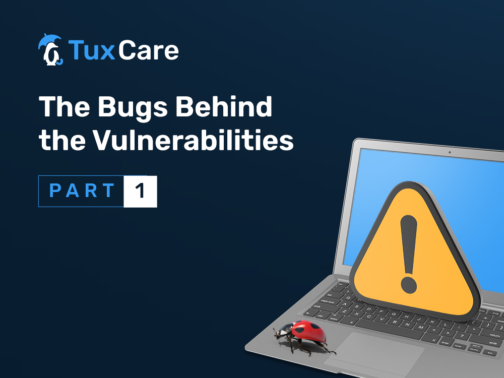 The Bugs Behind the Vulnerabilities - part 1