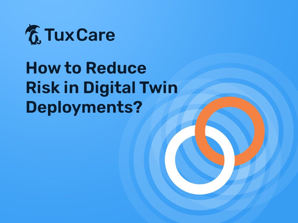 How to Reduce Risk in Digital Twin Deployments