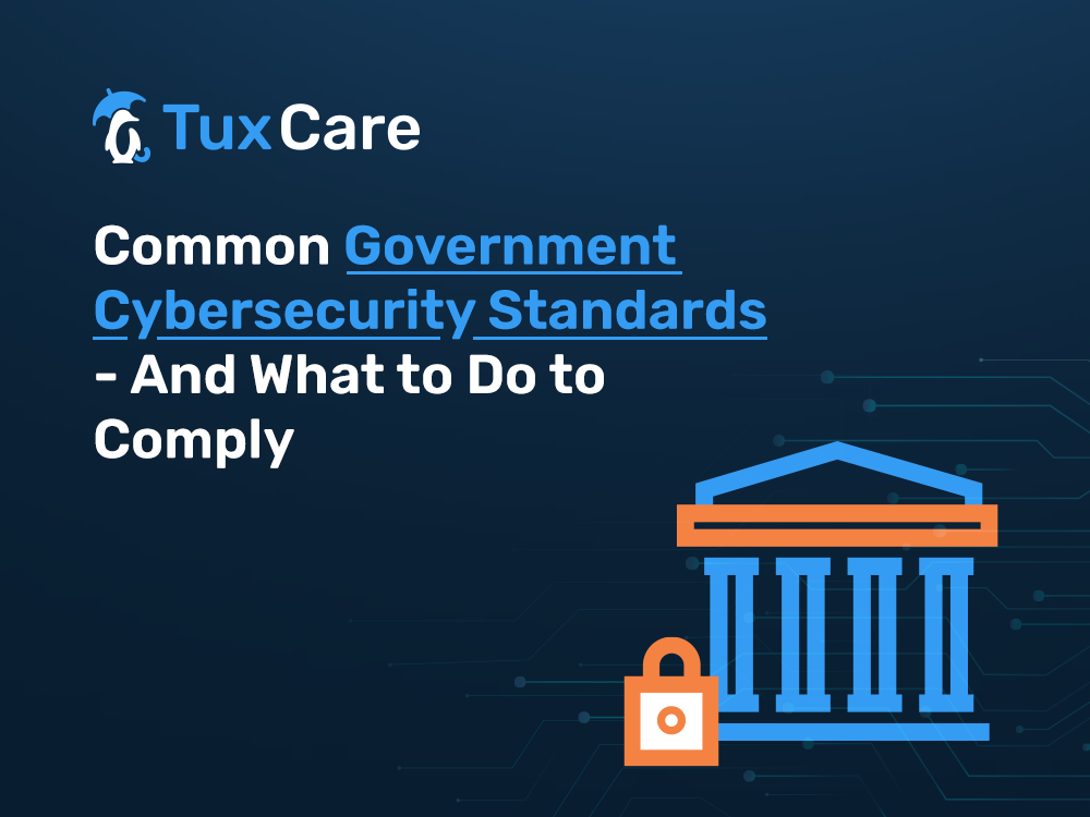 Common Government Cybersecurity Standards-  And What to Do to Comply