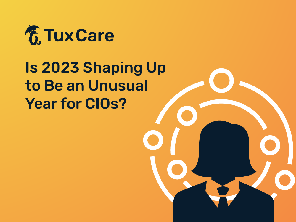 Is 2023 Shaping Up to Be an Unusual Year for CIOs?