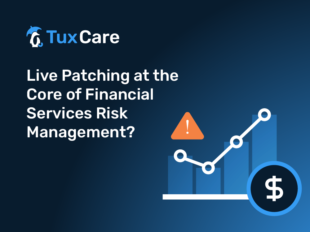 Live Patching at the Core of Financial Services Risk Management