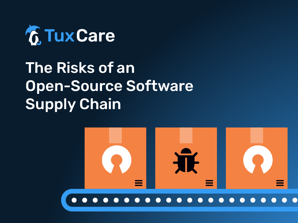 The Risks of an Open-Source Software Supply Chain