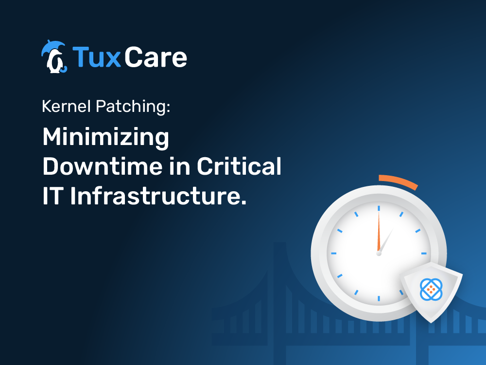 Kernel Patching: Minimizing Downtime in Critical IT Infrastructure