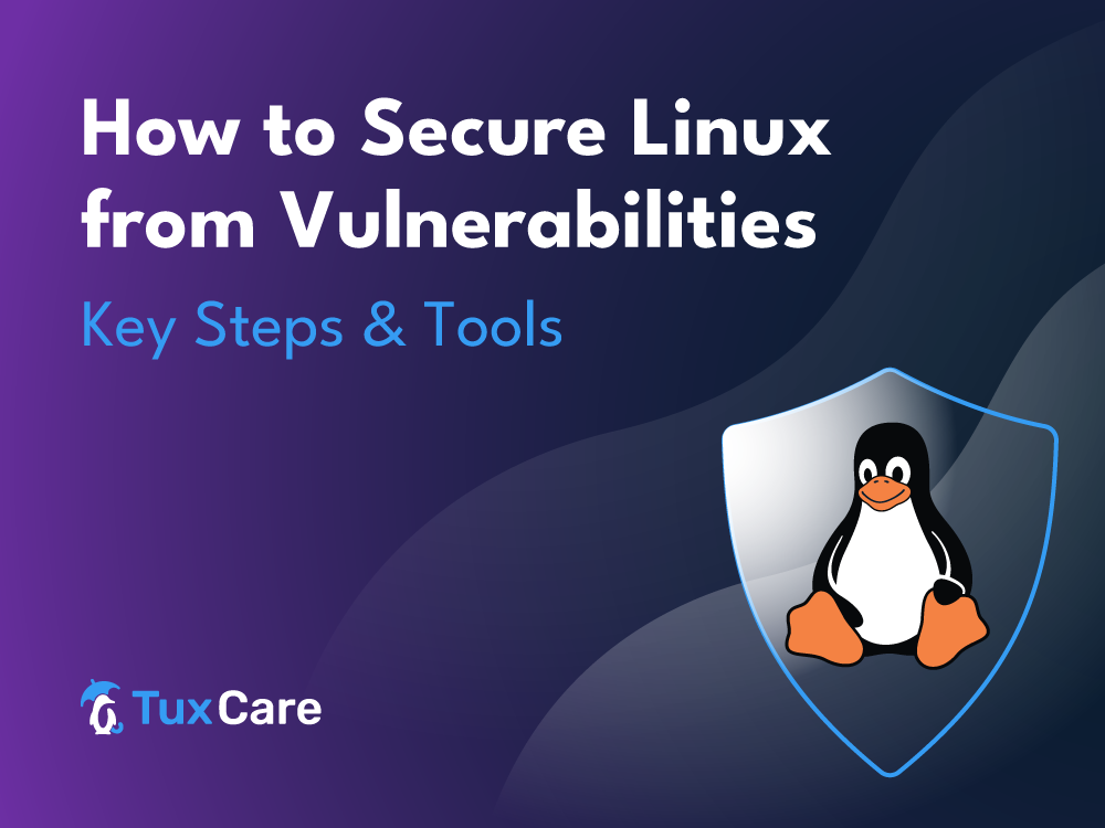 Cómo proteger Linux de vulnerabilidades: 6 pasos clave y herramientas