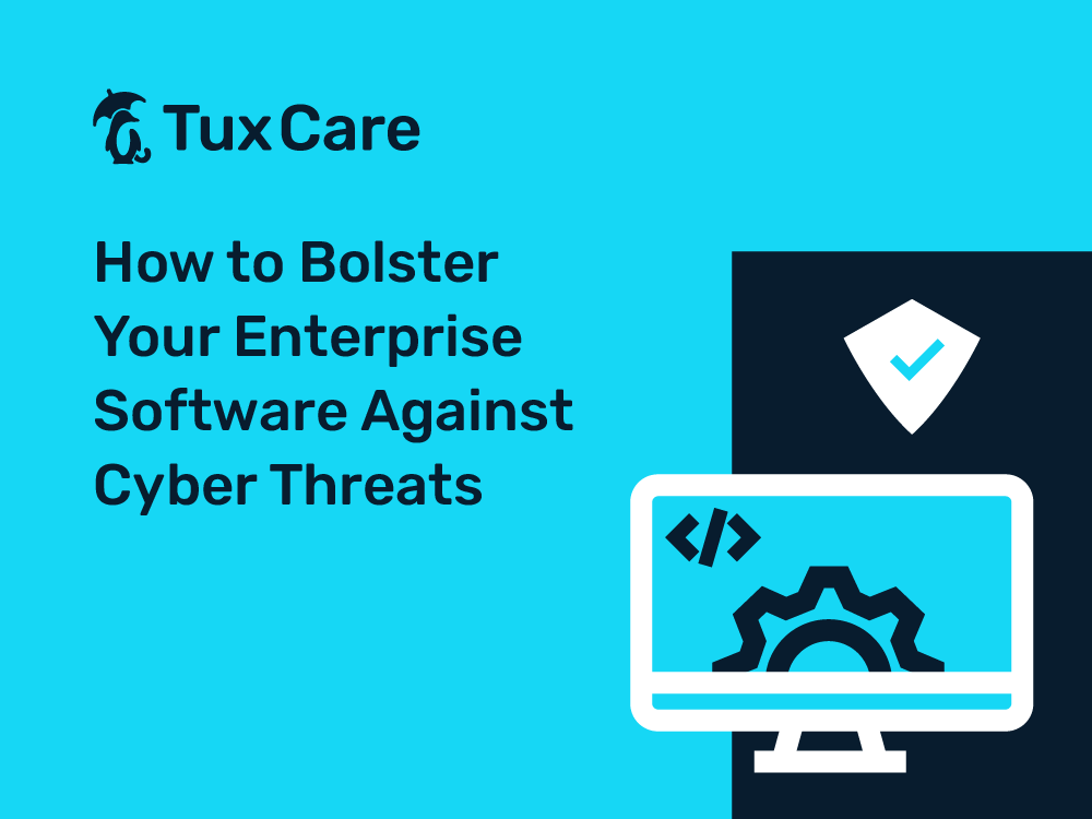 How to Bolster Your Enterprise Software Against Cyber Threats