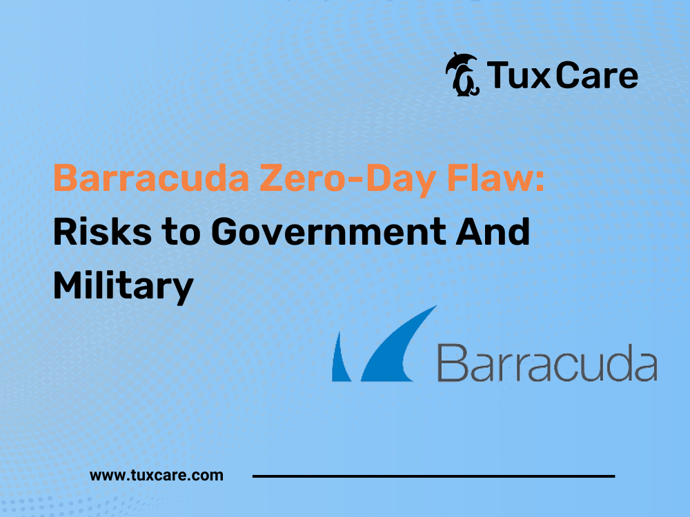 Barracuda Zero Day Flaw