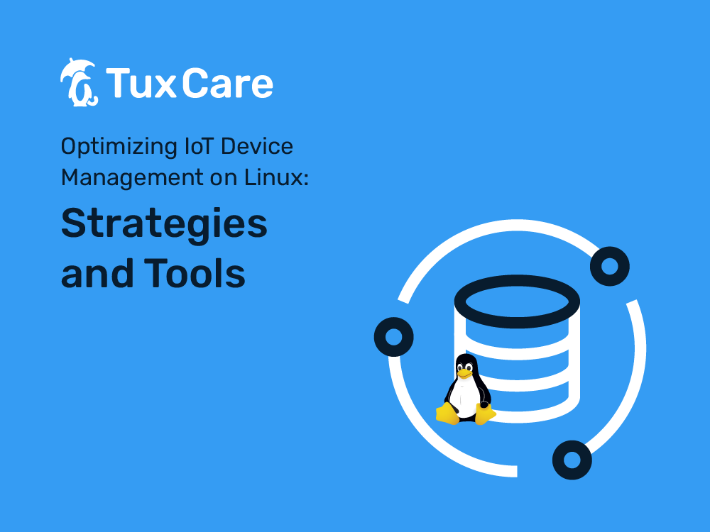 Linux IoT Device Management: Strategies & Tools