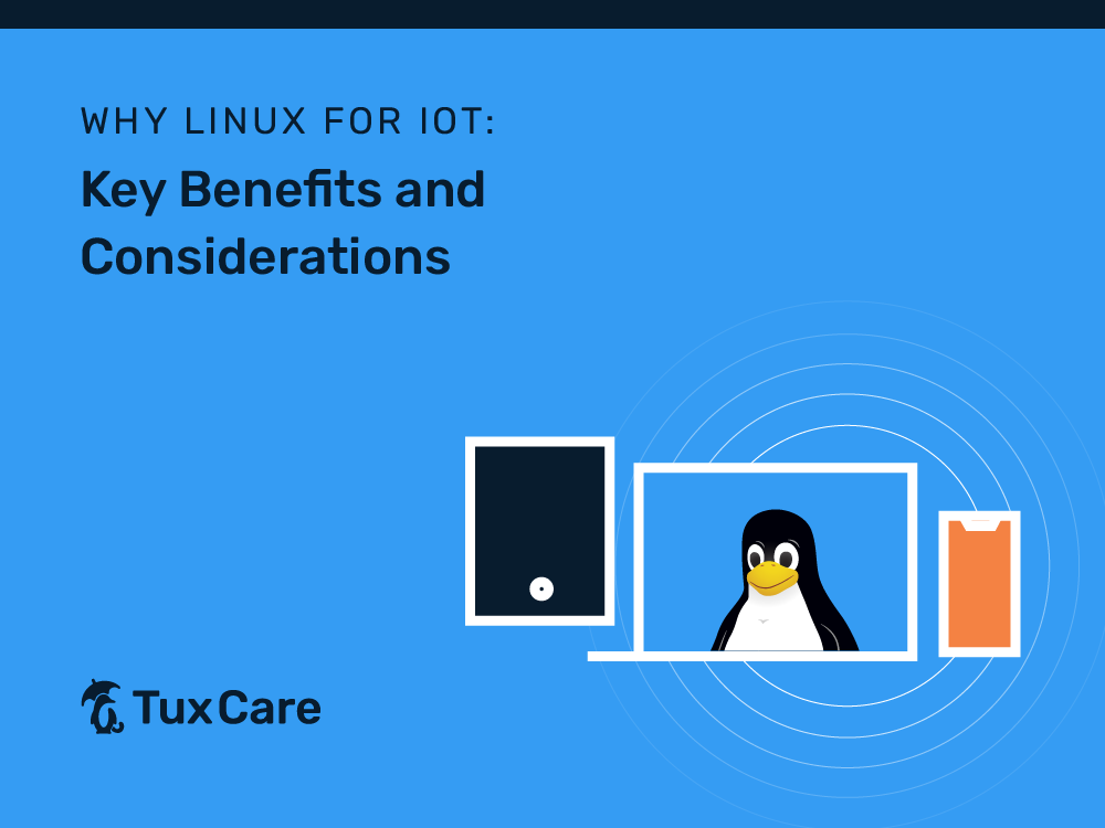 Linux for IoT