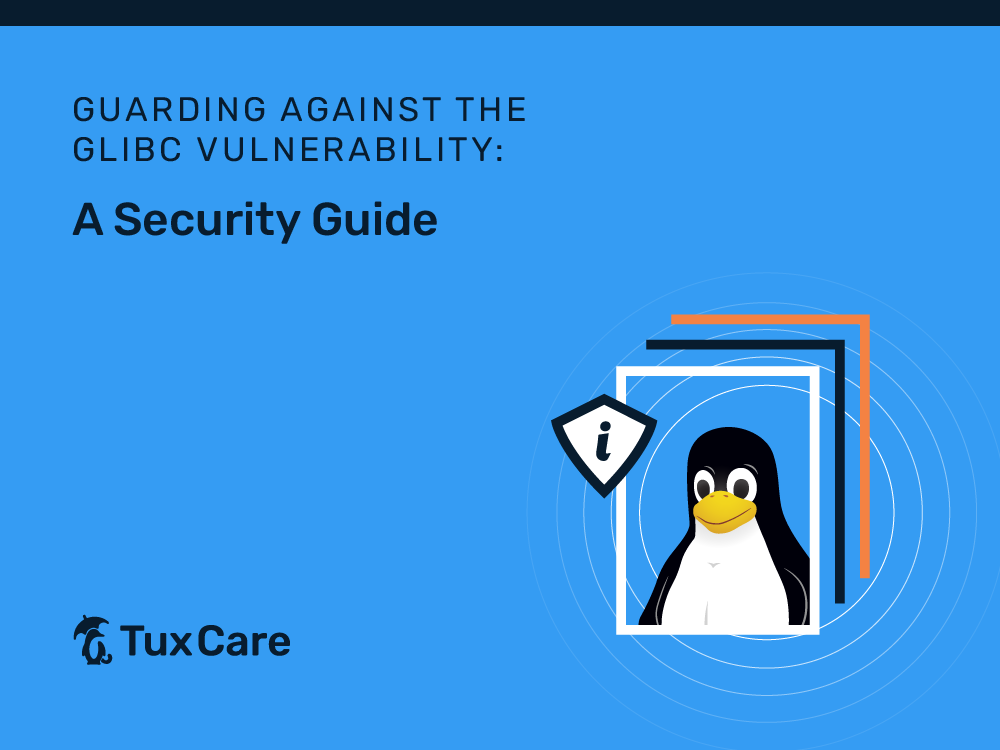  Guarding Against a glibc Vulnerability: A Security Guide