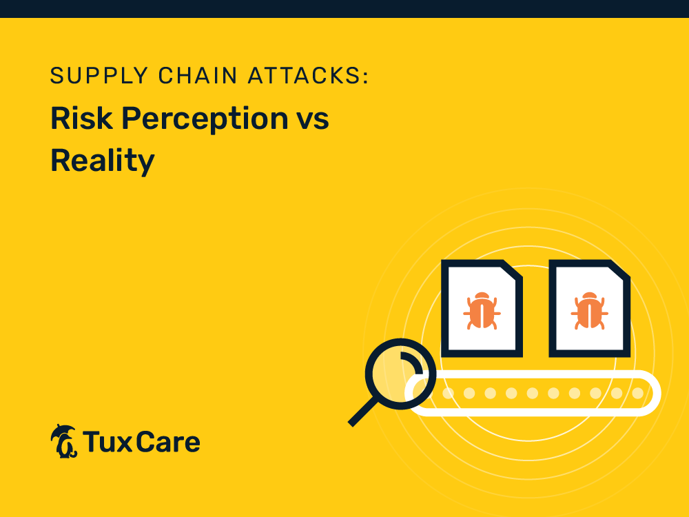 Supply Chain Attacks - Risk Perception vs Reality