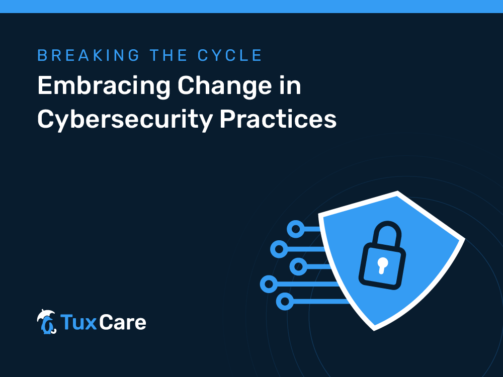 Breaking the Cycle: Embracing Change in Cybersecurity Practices