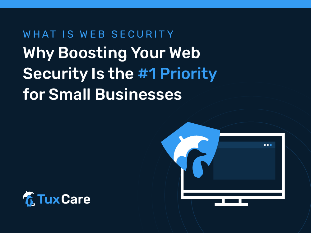 What Is Web Security: Why Boosting Your Web Security Is the #1 Priority for Small Businesses