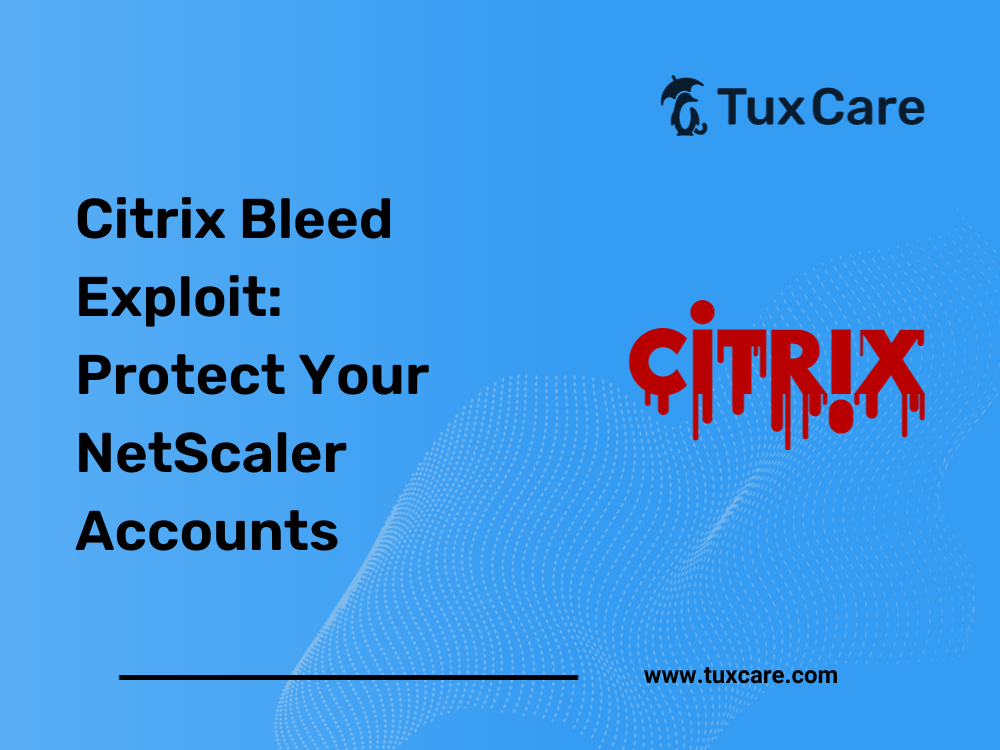 Citrix Bleed Exploit: Protect Your NetScaler Accounts