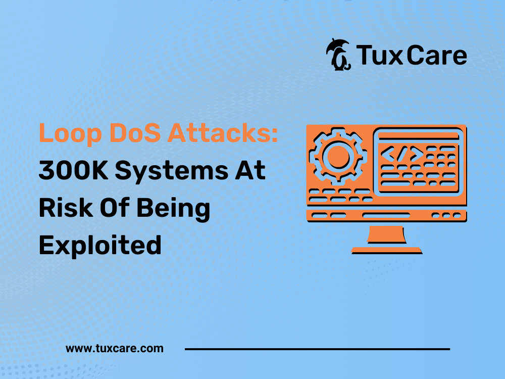 Loop DoS Attacks: 300K Systems At Risk Of Being Exploited