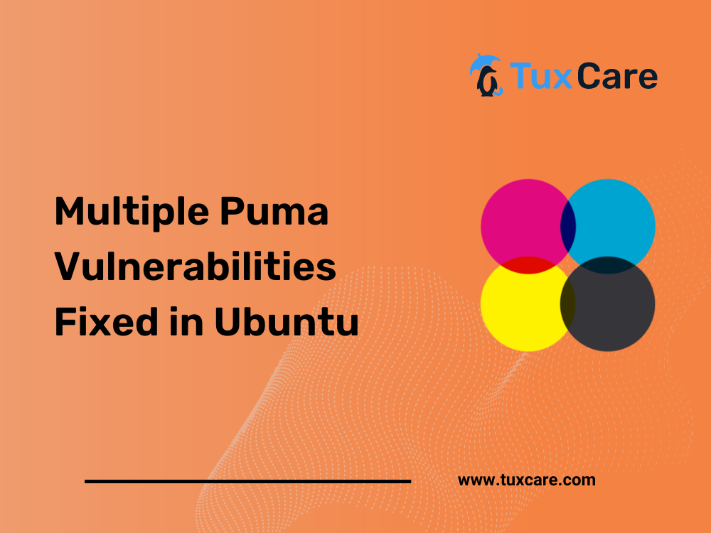 Multiple Puma Vulnerabilities Fixed in Ubuntu