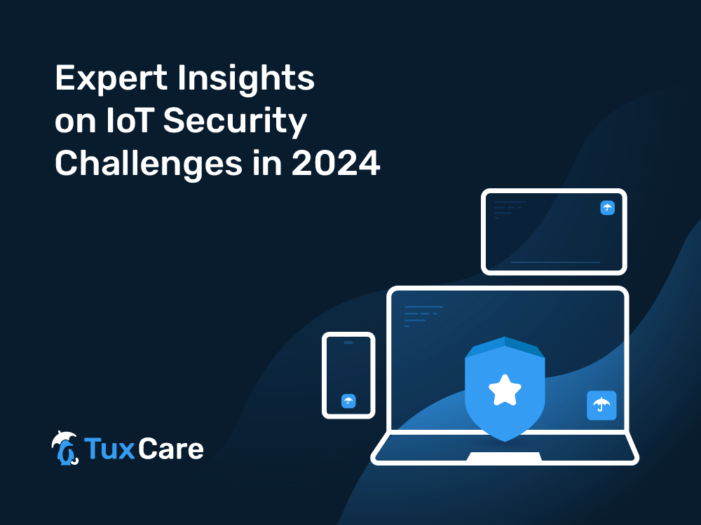 Expert Insights on IoT Security Challenges in 2024