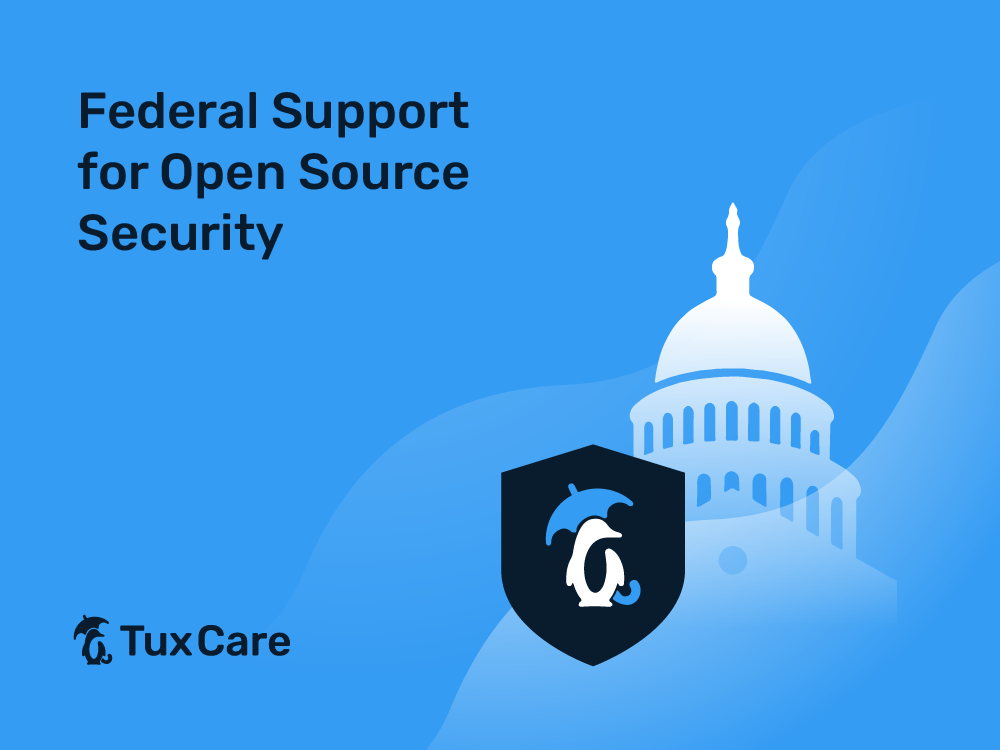 Federal Support for Open-Source Security