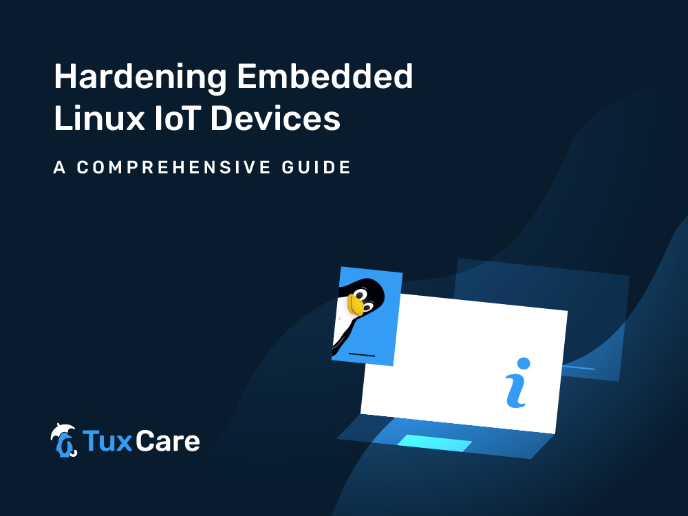 embedded Linux IoT devices