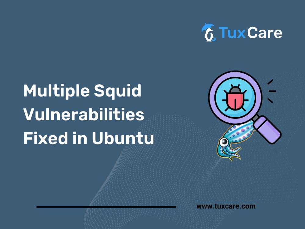 Multiple Squid Vulnerabilities Fixed in Ubuntu