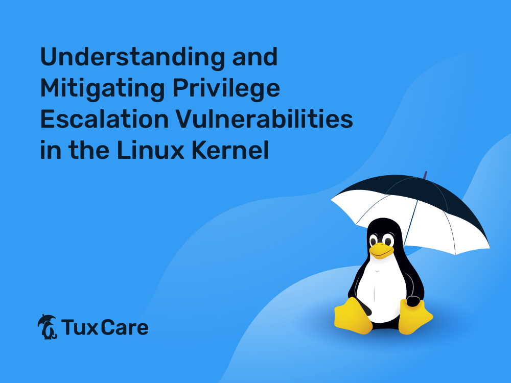 Mitigating Privilege Escalation Vulnerabilities in the Linux Kernel