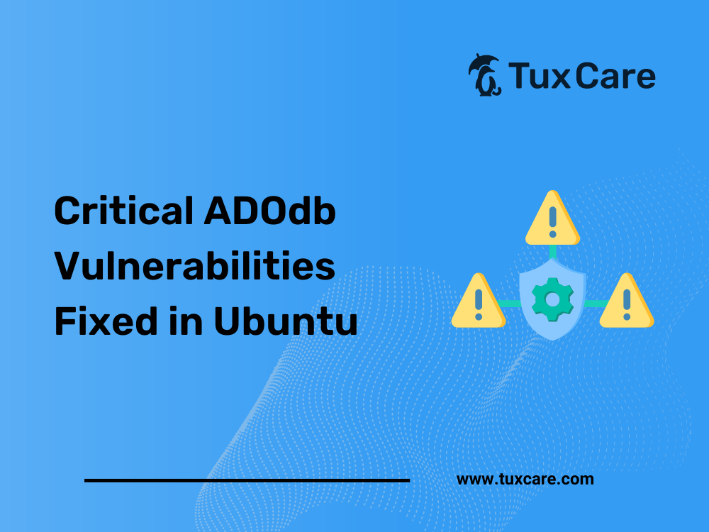 Critical ADOdb Vulnerabilities Fixed in Ubuntu