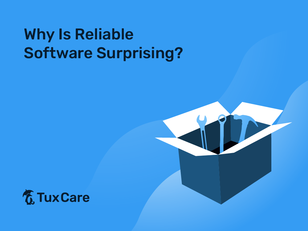 Why Is Reliable Software Surprising?