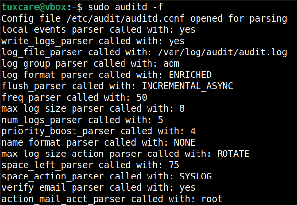 running audit daemon in foreground