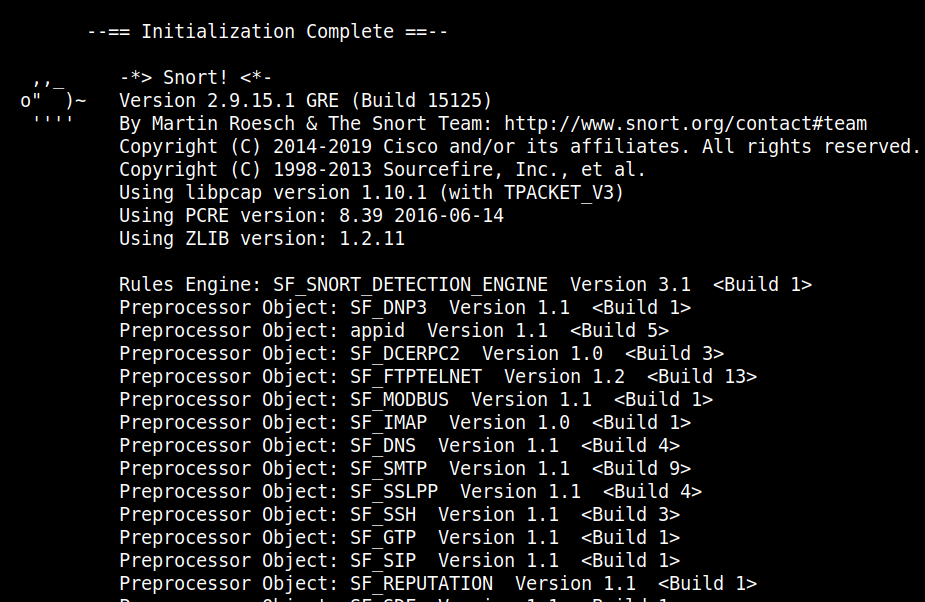 snort command output